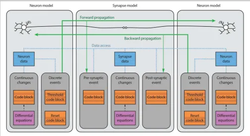 FIGURE 1 | Brian model structure. Brian users deﬁne models by specifying equations governing a single neuron or synapse