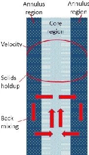 Figure 2-5 Flow structures in HDCFB riser and LDCFB riser 