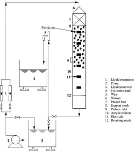 Figure 2-9 A typical schematic diagram of an inverse liquid-solid fluidized bed 
