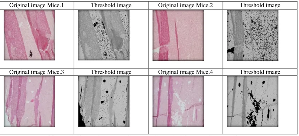 Figure 7. Shows the texture image and threshold (control group) liver.  