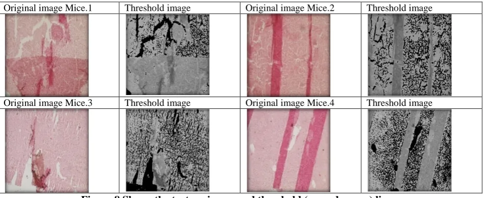 Fig. (8) represented the second group which is the  Original image Mice.1 