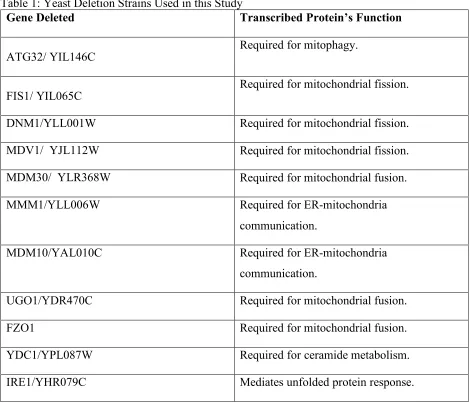Table 1: Yeast Deletion Strains Used in this Study 