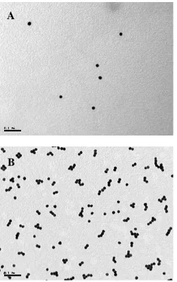 Figure 1. TEM images of (A) nano-Au colloid, (B) chitosan/colloid Au composite. 