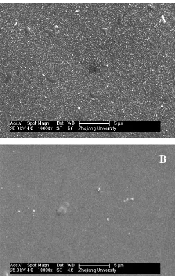 Figure 2.  SEM images of the surface of (A) the bare gold microelectrode and (B) the chitosan/colloid Au modified gold microelectrode