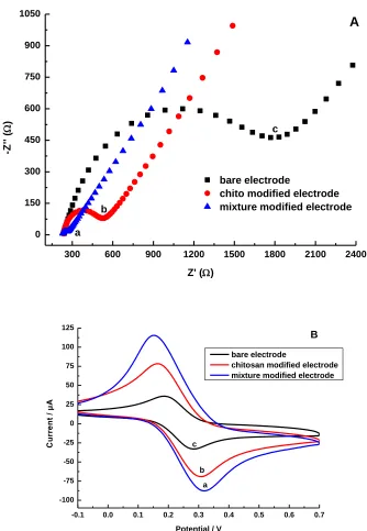Figure 3.  (A) EIS response of the mixture modified electrode (a), the chitosan modified electrode (b), and the bare electrode (c), in a 5.0×103 mol·L1 K3[Fe(CN)6] solution containing 0.1 mol·L1KCl