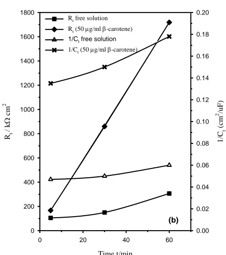 Figure 8b. Increase of Rt and 1/Ct with the exposure time for technical titanium in 1.0 M Na2SO4 solution (pH = 7.0) free or containing 50 μg/ml β-carotene