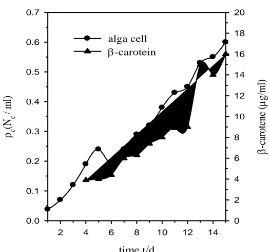 Figure 1.  Changes in alga Dunaliella Salina cell number (Nc) density (ρc = Nc/ml) and its secreted β-carotene in μg/ml with the growth time (t/d)