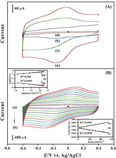 Figure 1. (A) CVs of (a) GNP-f-CNT/GCE, (b) GNP/GCE, (c) f-CNT/GCE and (a’) bare GCE in 0.1 M pH 7 PBS