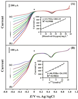 Figure 6. (A) RDE voltammograms of GNP-f-CNT film for the determination of dissolved oxygen in 0.1 M pH 7 PBS
