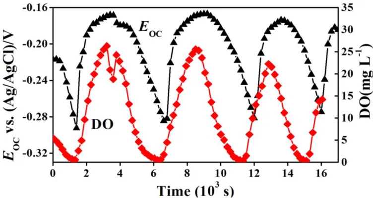 Figure 10.  The variation of Eoc of the 316L SS and dissolved oxygen in culture solutions with immersion time