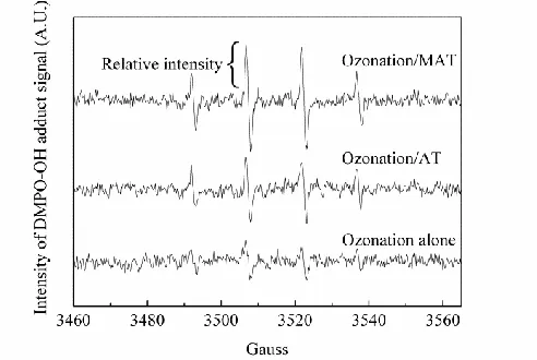 Figure 6.  Comparison of the intensity of DMPO-OH adduct signal in the different processes