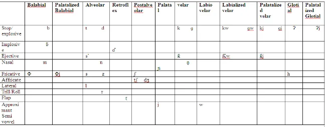 Figure 2.7 Hausa Consonantal Chart Source: Sani (2005:20)  