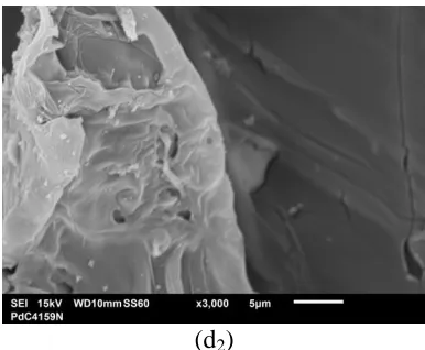 Figure 4. Scanning electron micrographs (SEM) of electrodes with (a) 56 % M.I., (b) 57 % M.I., (c) 58 % M.I