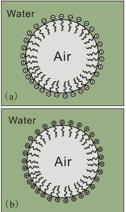 Figure 3. A schematic view of the various surfactant molecules adsorbing on the air-water interface: (a) The adsorption of SDS on the air-water interface greatly decreased (more negative) the zeta potential of air bubble