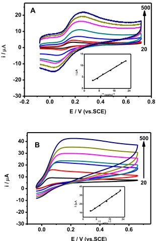 Figure 7.  CVs for the oxidation of (A) 0.5 mM DA and (B) 1.0 mM AA at the (NG/PEI)5/GCE in 0.10 M PBS with different scan rate: 20 mV/s, 50 mV/s, 100 mV/s, 200 mV/s, 300 mV/s, 400 mV/s and 500 mV/s