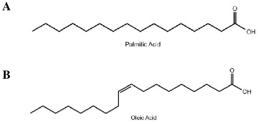 Figure 2. Molecular structures of palmitic and oleic acid. 