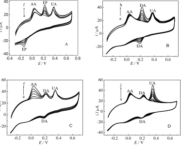 Figure 4.  CVs of the mixture containing AA, UA and either EP or DA with different concentrations in PBS (pH 7.0) at the modified electrode