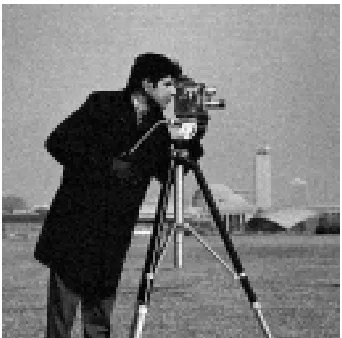 Figure 2.26 shows respectively approximation, vertical, horizontal, diagonal coeﬃcients ofthe noisy cameraman image shown in the ﬁgure above.