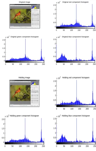 Figure 1: Original and holding images 