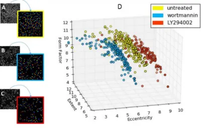Fig. 2. Images of cancer cells having various treatments. In each panel, the original microscopy image is transformed to a representation of the segmented results