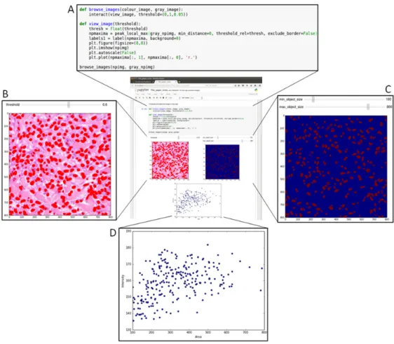 Fig. 3. Illustration of example workflow. (A) Python code is edited in the cell shown here