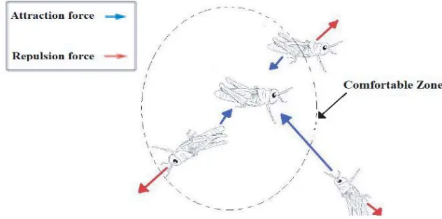 Figure 2. Model of the social interactions in grasshoppers.