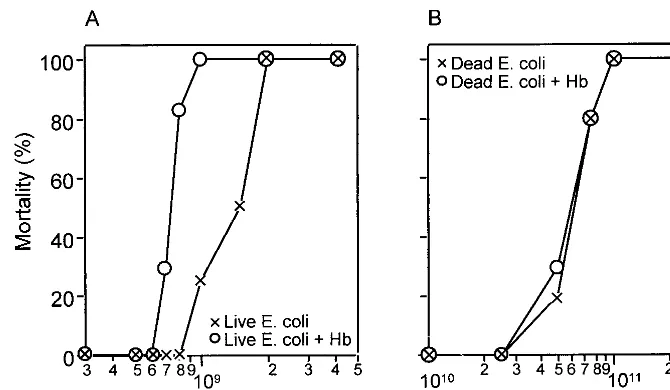 FIG. 1. Effect of Hb on mortality in experimental E. coliinjection of live peritonitis