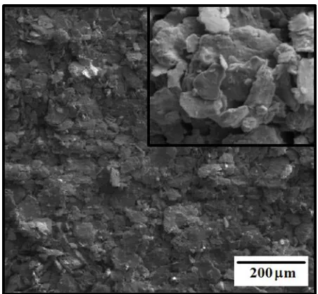 Figure 1. Surface morphology like-flakes of the deposited coating. 