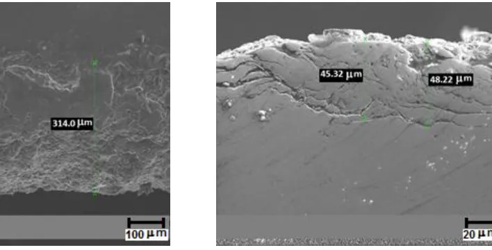 Figure 2. Show the morphologies of the cross section of the NiAlCu coating for, a) X52 steel and b) Inconel 600 Alloy