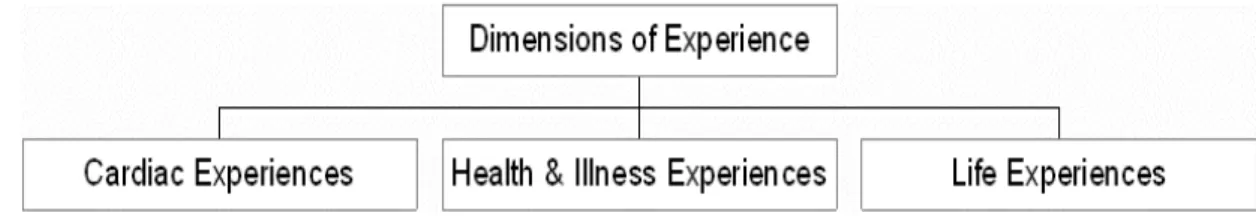 Figure 1. Mapping Experience 