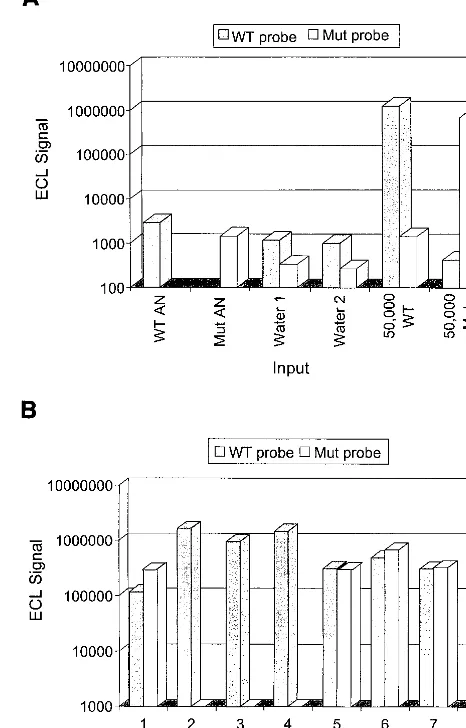 FIG. 3. CCR5 NASBA genotyping analysis of patient PBMC by wild-type CCR5 RNA; and lanes Mut contain 10probe detection