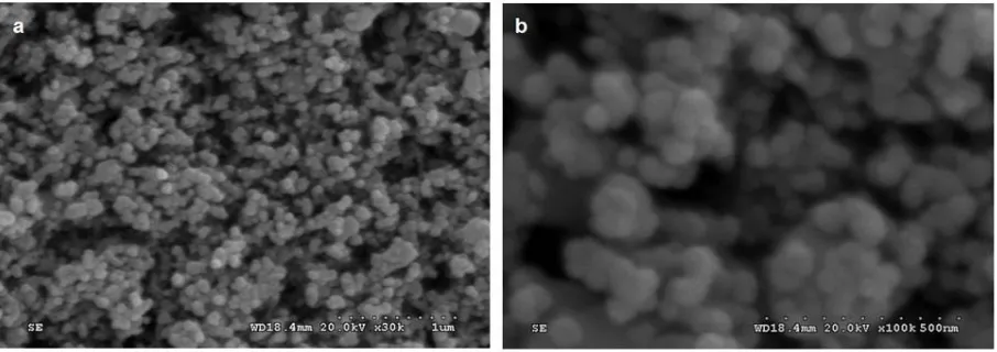 Figure 4. Microscopic characterization of CdO nanoparticles  