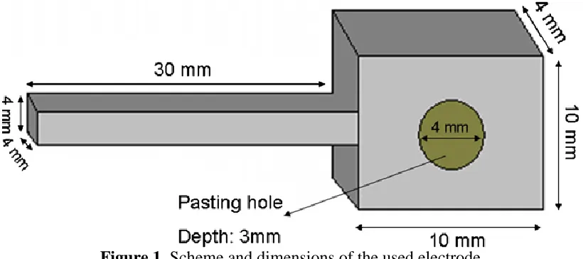 Figure 1. Scheme and dimensions of the used electrode 