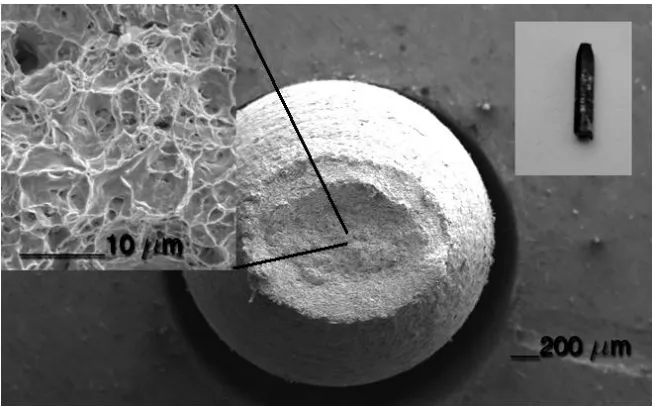 Figure 5.  Steel performance under SSR test under different experimental conditions: Air, Air-H, NS4 and NS4-H