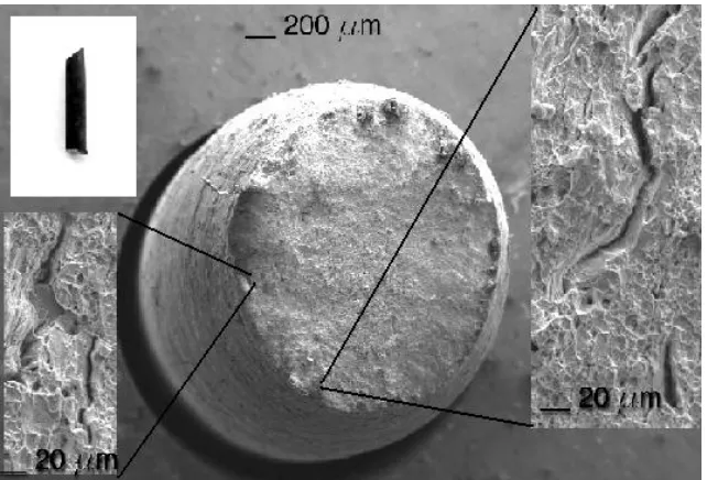 Figure 8.  Steel SSRT longitudinal specimen fractured in NS-4 solution 