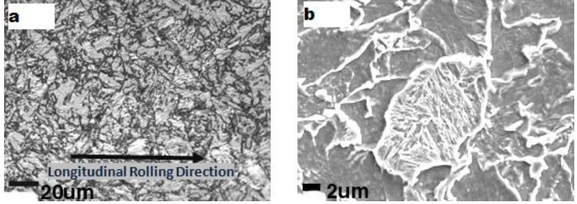 Figure 1.  Microalloyed Pipeline Steel Plate Microstructure. a) Optical and b) SEM microphotographies