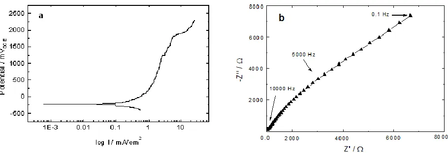 Figure 2.  Electrochemical corrosion steel behavior in NS-4 test solution, (a)polarization curves and (b)  EIS Nyquist plot