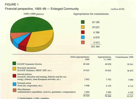 FIGURE 1 Financial perspective, 1993­99 — Enlarged Community 