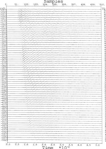 Figure 2.10: Seismic data set for example 2.2.