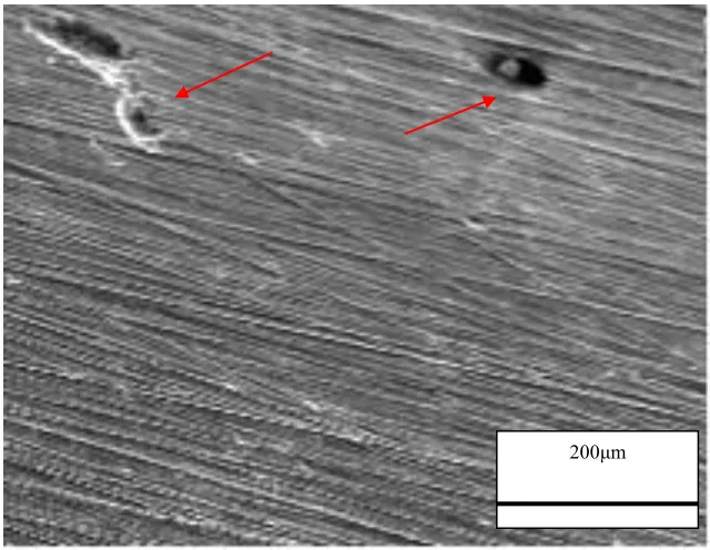 Figure 5.  OM image for Zr60Cu20Fe10Al10 BMG sample surface before anodic  polarization (600-grit SiC surface finish)