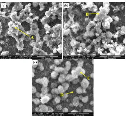 Figure 7.  Cross section morphologies of Zn-0.25%Al coating after immersion in 3.5% NaCl solution for: (a) 1 day；(b) 4 days；(c) 8 days；(d) 16 days
