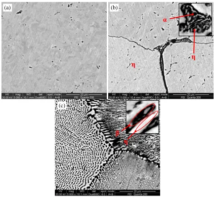 Figure 1. SEM micrographs of zinc-based coatings: (a) pure zinc coating; (b) Zn-0.25%Al coating; (c) Zn-5%Al coating