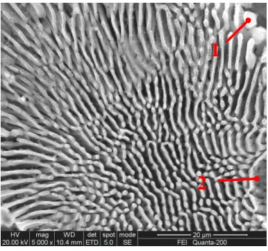 Table 2. EDS elemental analysis of surface in Fig. 3. (wt %)  
