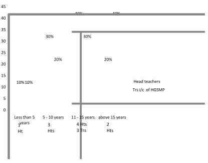 Figure 4.1: Experience in manning the programme 