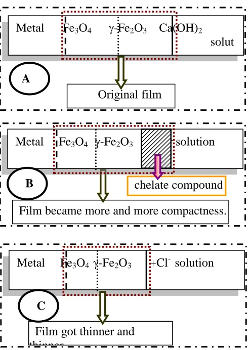 Figure 6. Schematics of the passive film structures on carbon steel surface. (A) In saturated Ca(OH)2 solution；(B) Added triethanolamine(Tr)；(C)Added chloride ions