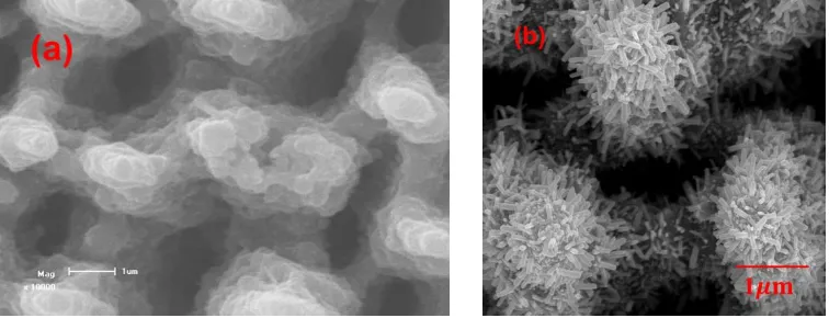 Fig 1 shows the typical top view SEM micrographs of the Si substrate acting by femtosecond laser and ZnO nanorods prepared on microstructure Si substrate, respectively