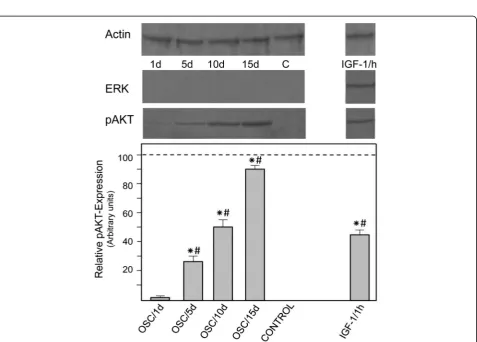 Fig. 3 Time course of mineralization. a Osteoblasts (2 × 106 each) were grown in MEM supplemented with OSC (20 μg/ml) over a period of 5 days(T1), 10 days (T2), 15 days (T3) and 20 days (T4) in comparison to control cells (C1, C2, C3, C4) grown under ident
