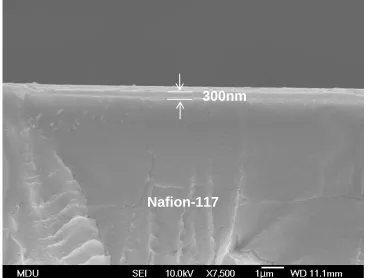 Figure 7.  Cross-sectional SEM picture of 10 bi-layers of PAH/PSS containing Pt-Sn. 