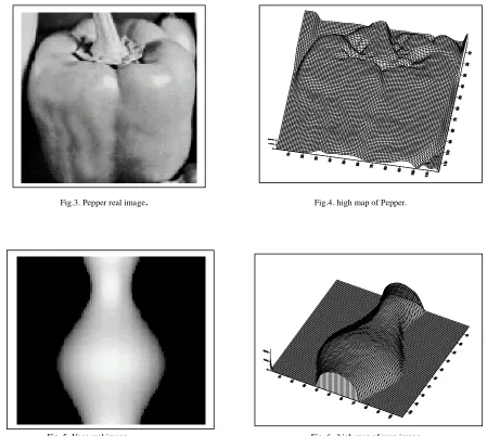 Fig .6.  high map of vase image  