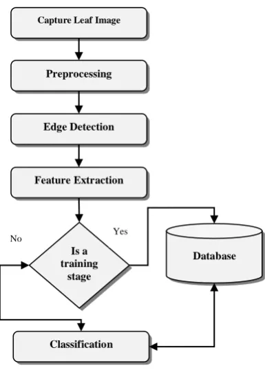 Fig. 2  The main block diagram of proposed system. 